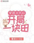 穿进古代后开局一块田